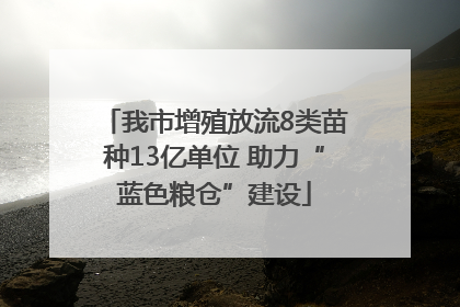 我市增殖放流8类苗种13亿单位 助力“蓝色粮仓”建设